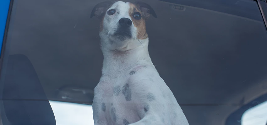 Car Lockout Solutions in Morgan Hill, California